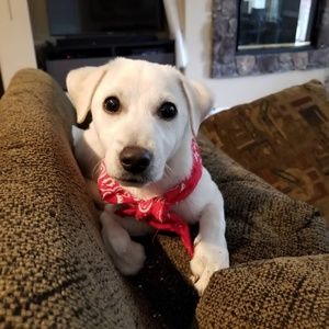 Meet your Posher, Yunjoo